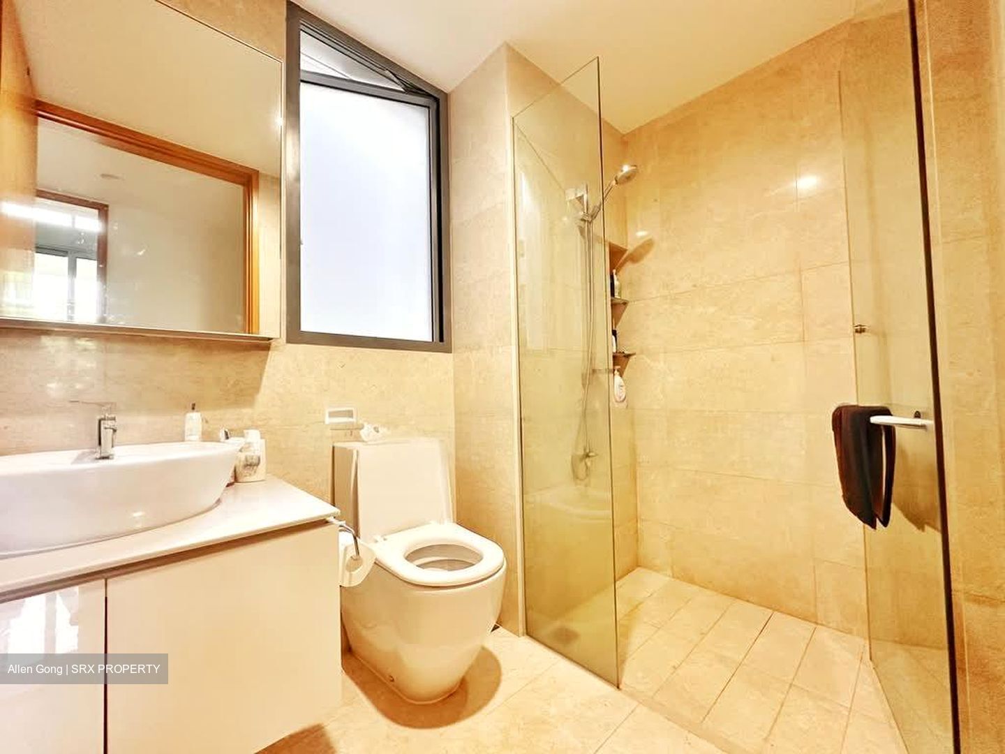 Mon Jervois (D10), Condominium #604520061